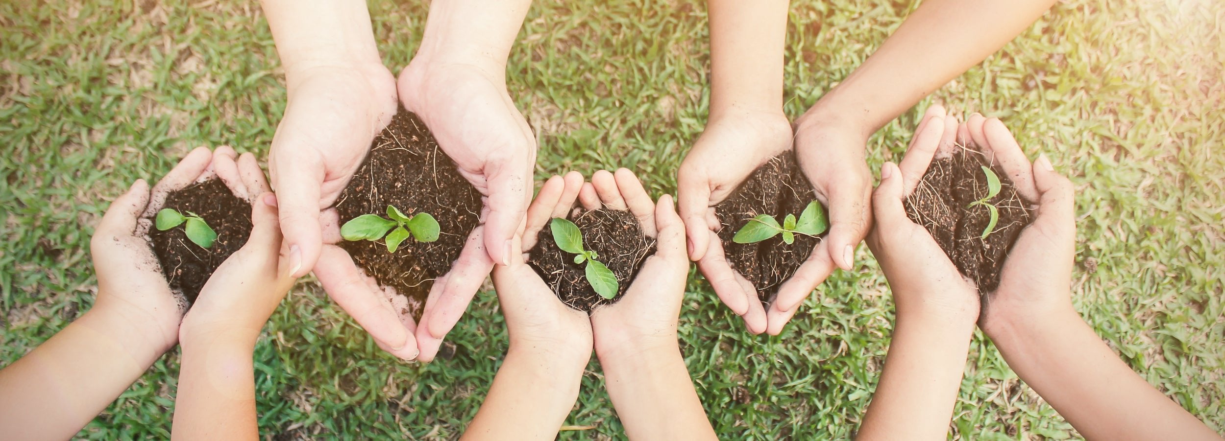 Biologische Pflege, Garten, Nagetiere, Schädlinge, Kompost, Dünger