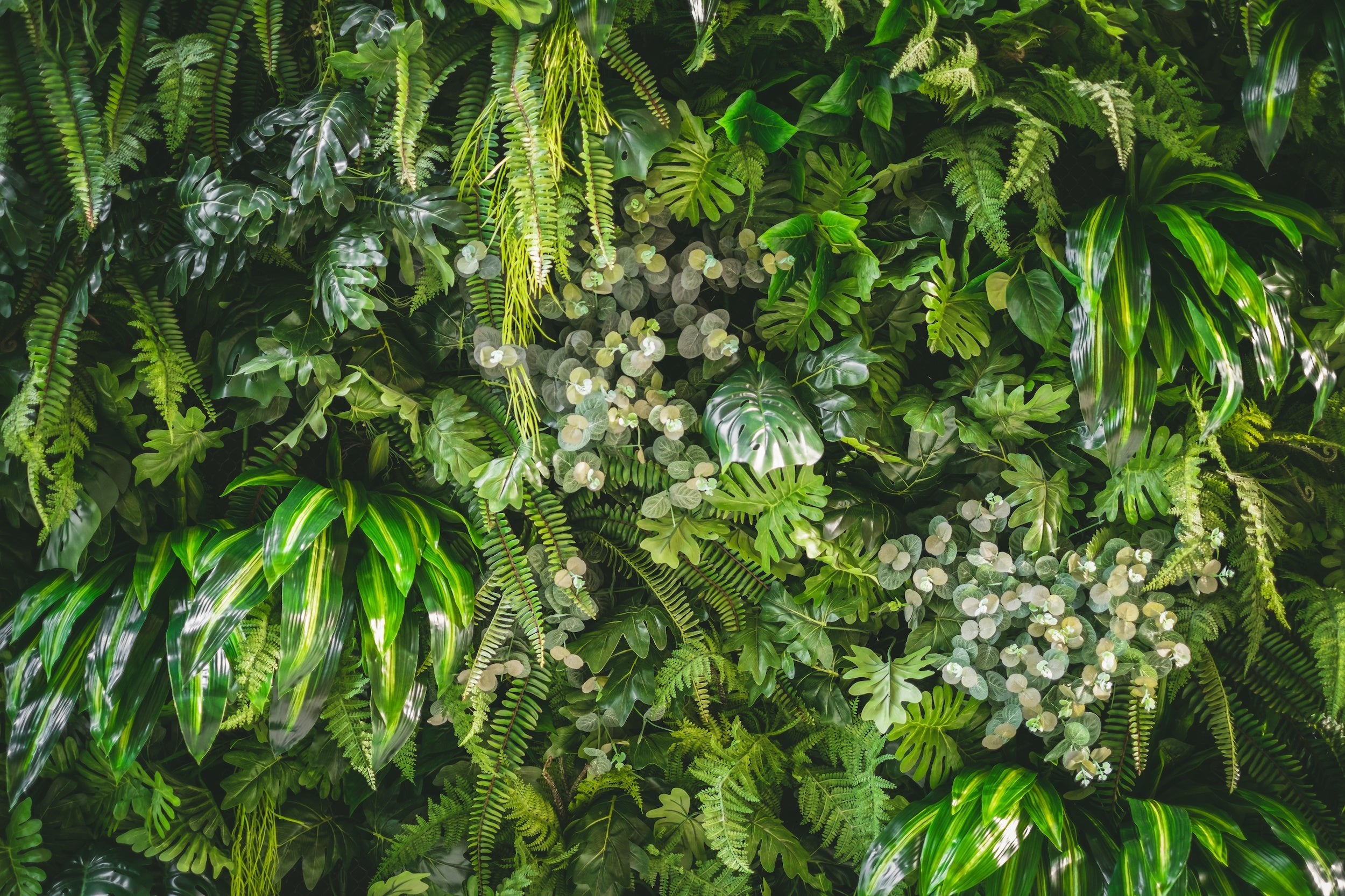 Viele grüne und schön blühende Pflanzen zieren diese Hauswand.