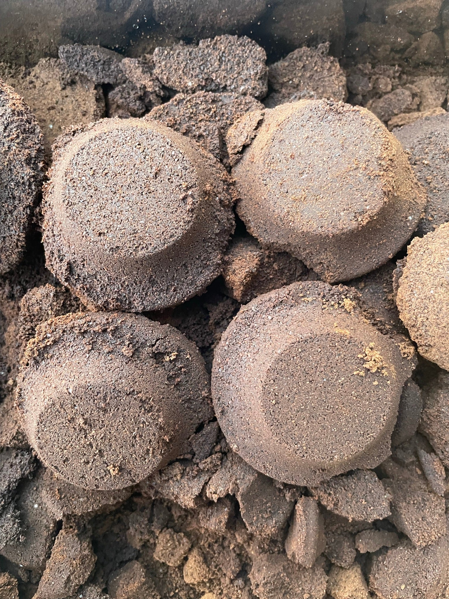 Kaffeesatz wird oft zur Düngung von Pflanzen verwendet. Jedoch sollte man dies mit Vorsicht genießen.