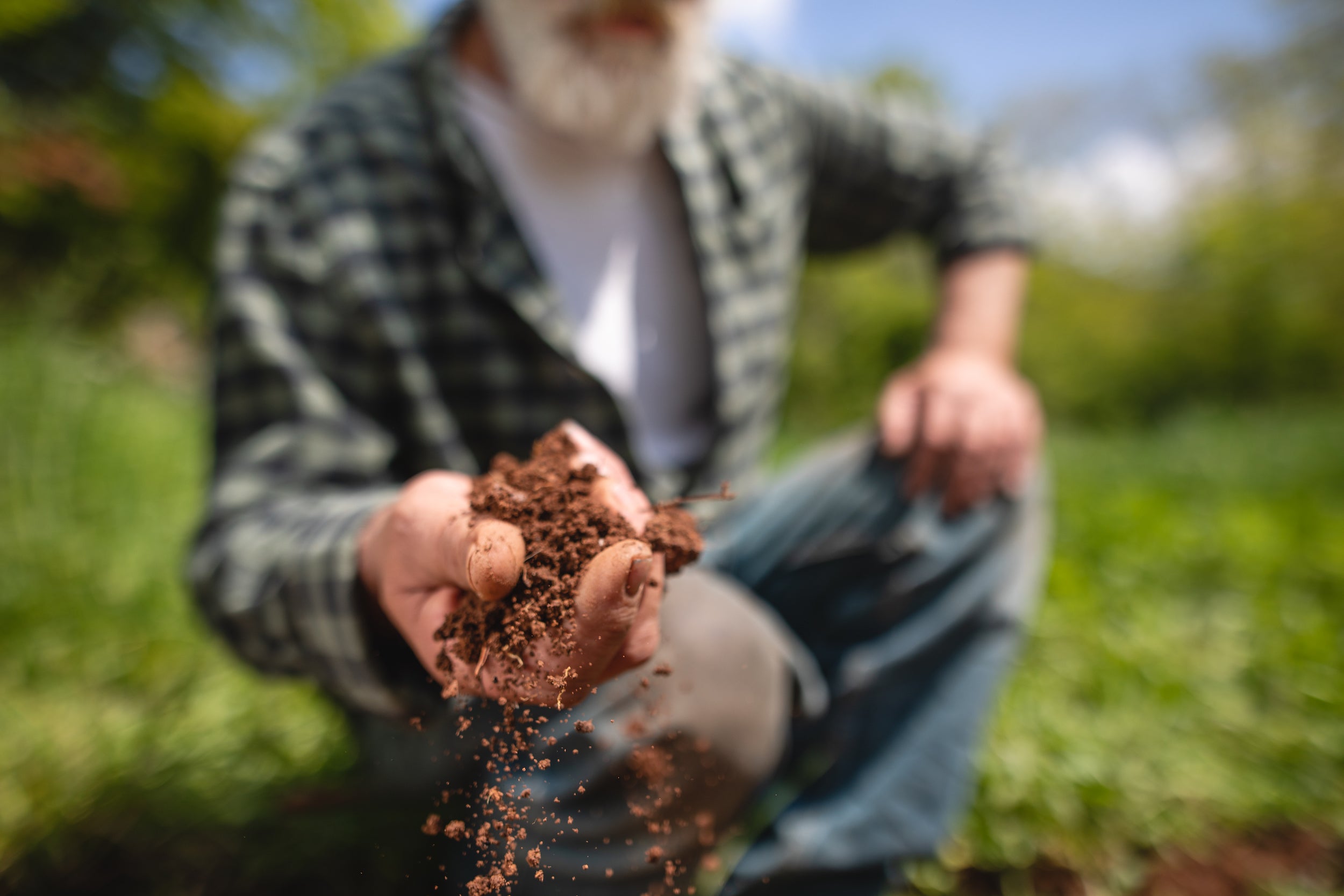 Trockenheit, Universaldünger, universal dünger, Düngen, Extremwetter, Hitze, Trockenheit