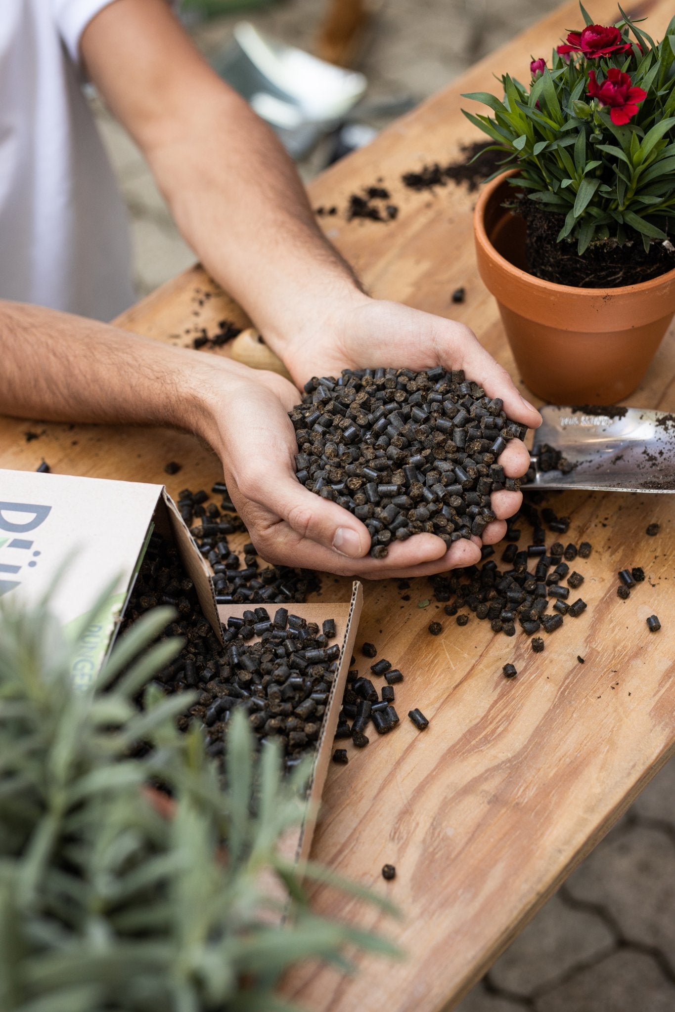 Bio-Universaldünger Pellets von DüngMe: Organischer Dünger, rein pflanzlich für alle Pflanzenarten.