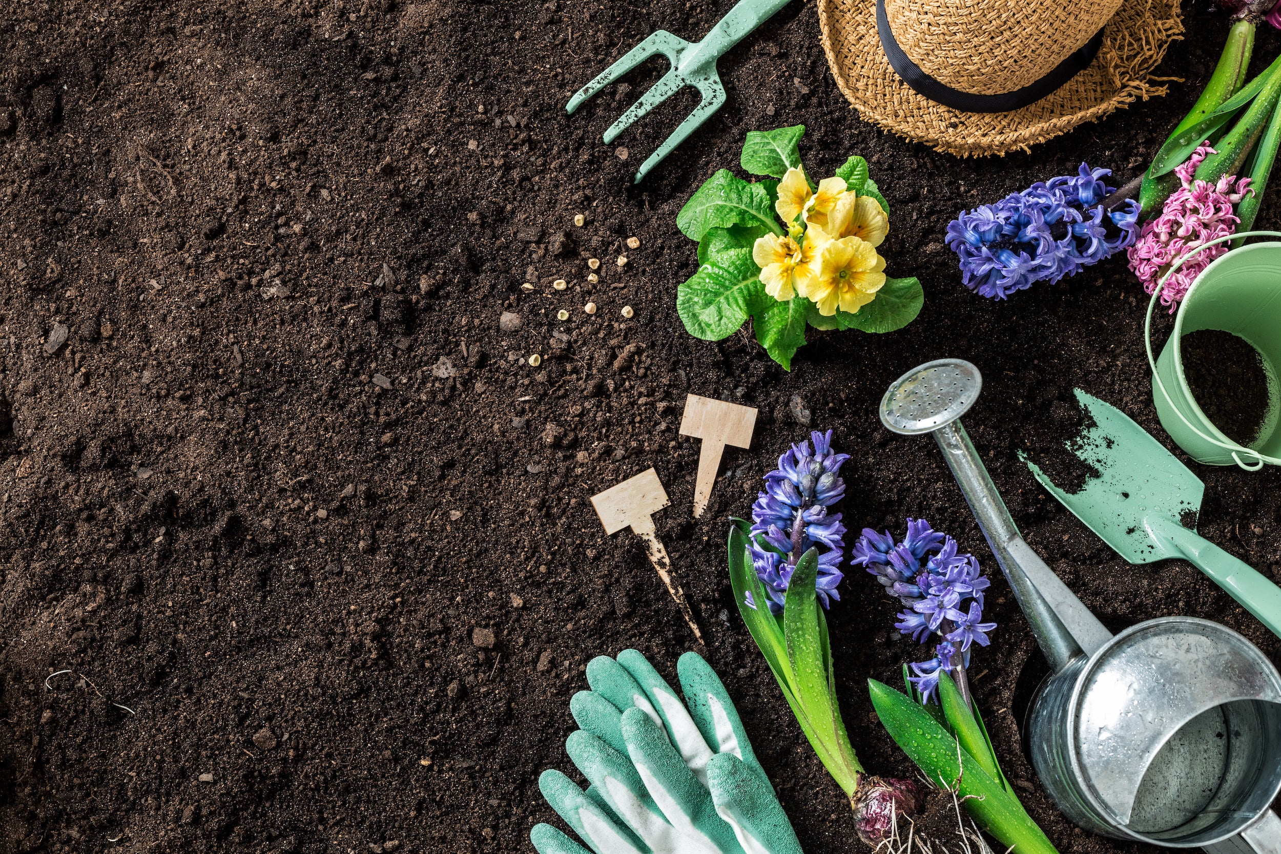 Alle Utensilien die zu einer erfolgreichen Gartenpflege notwendig sind.