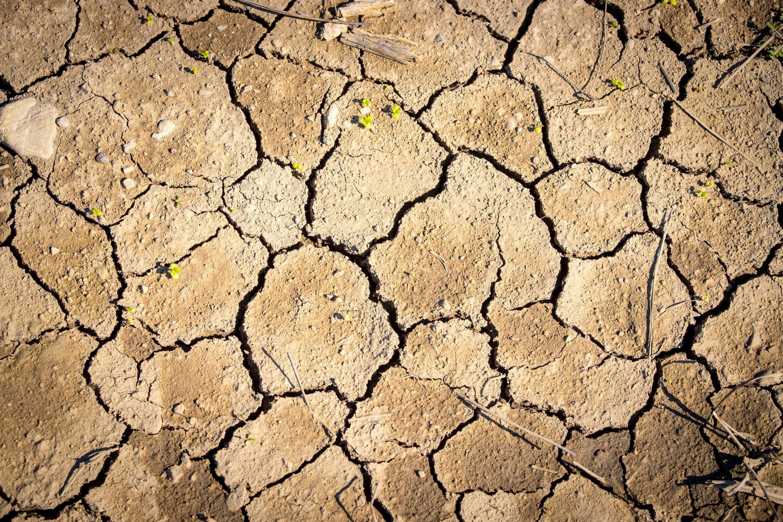 Ein Boden, der durch die Trockenheit sehr tiefe Risse aufzeigt. Er steht sinnbildlich für die heißen Sommer und die damit einhergehenden Dürreperioden. 