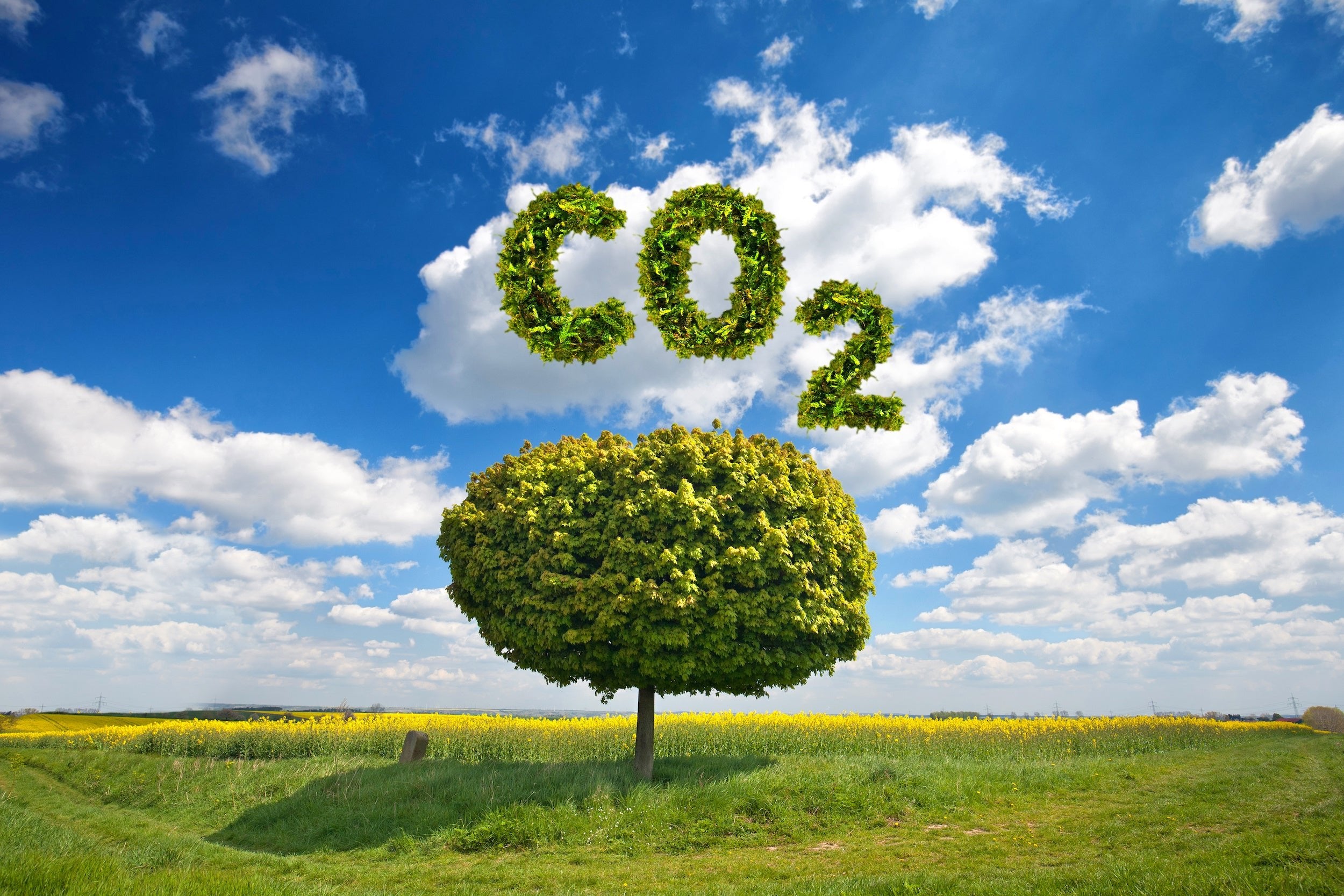 Das Klima spielt eine immer wichtigere Rolle. Auf dem Bild wird auf die CO2 Belastung auf unserer Welt hingedeutet. Ein humoser Boden kann CO2 speichern.