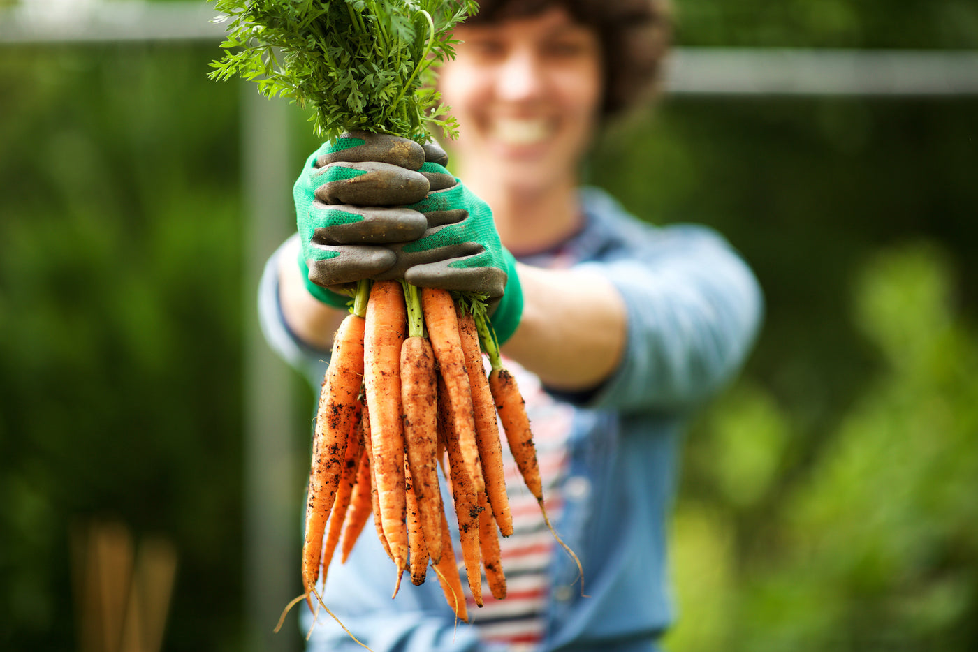 Eine Frau hält ein Bündel Karotten in die Luft und freut sich über den diesjährigen üppigen Ernteerfolg. Die Karotten wurden mit einem rein organisch gedüngt.