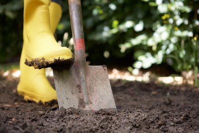 Kann man das lästige Umgraben im Garten vermeiden?