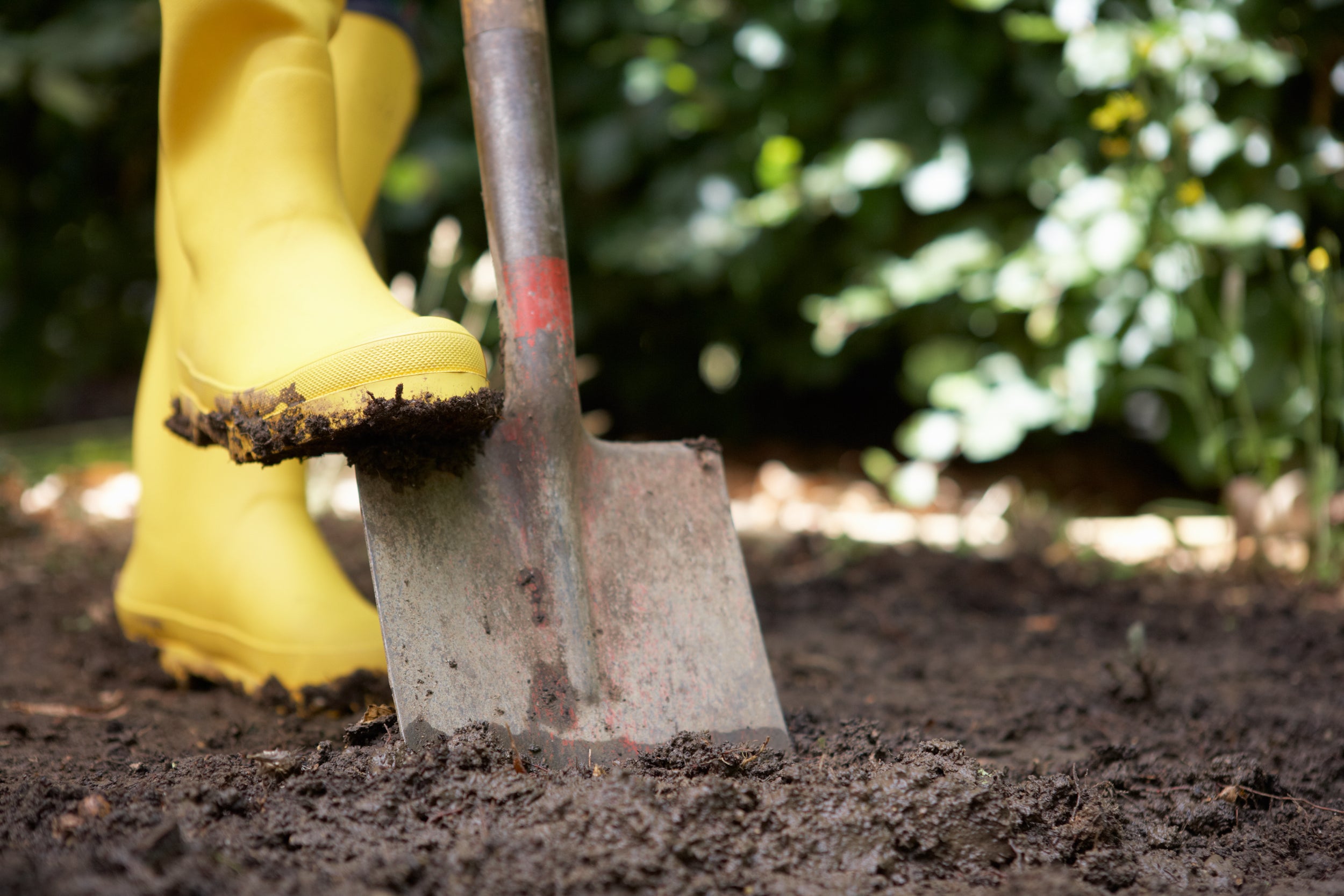 Ein Mann grabt mit einem Sparten den Boden um, um darauf dann Obst- und Gemüse zu pflanzen.