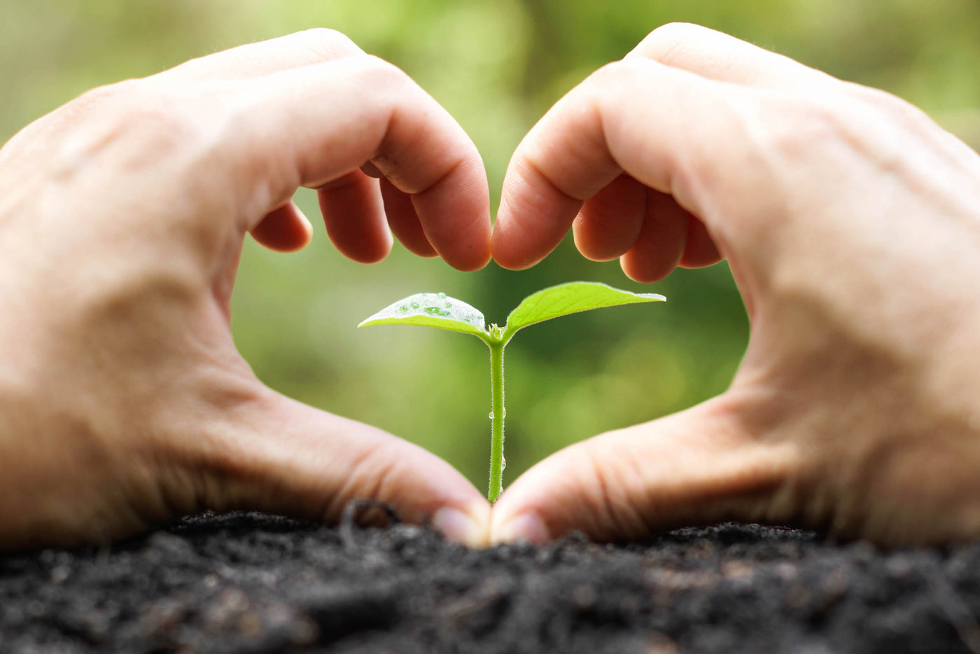 Zwei Hände formen ein Herz und in dem Herz wächst eine kleine Pflanze heran. Damit soll die Verbundenheit zur Natur aufgezeigt werden..