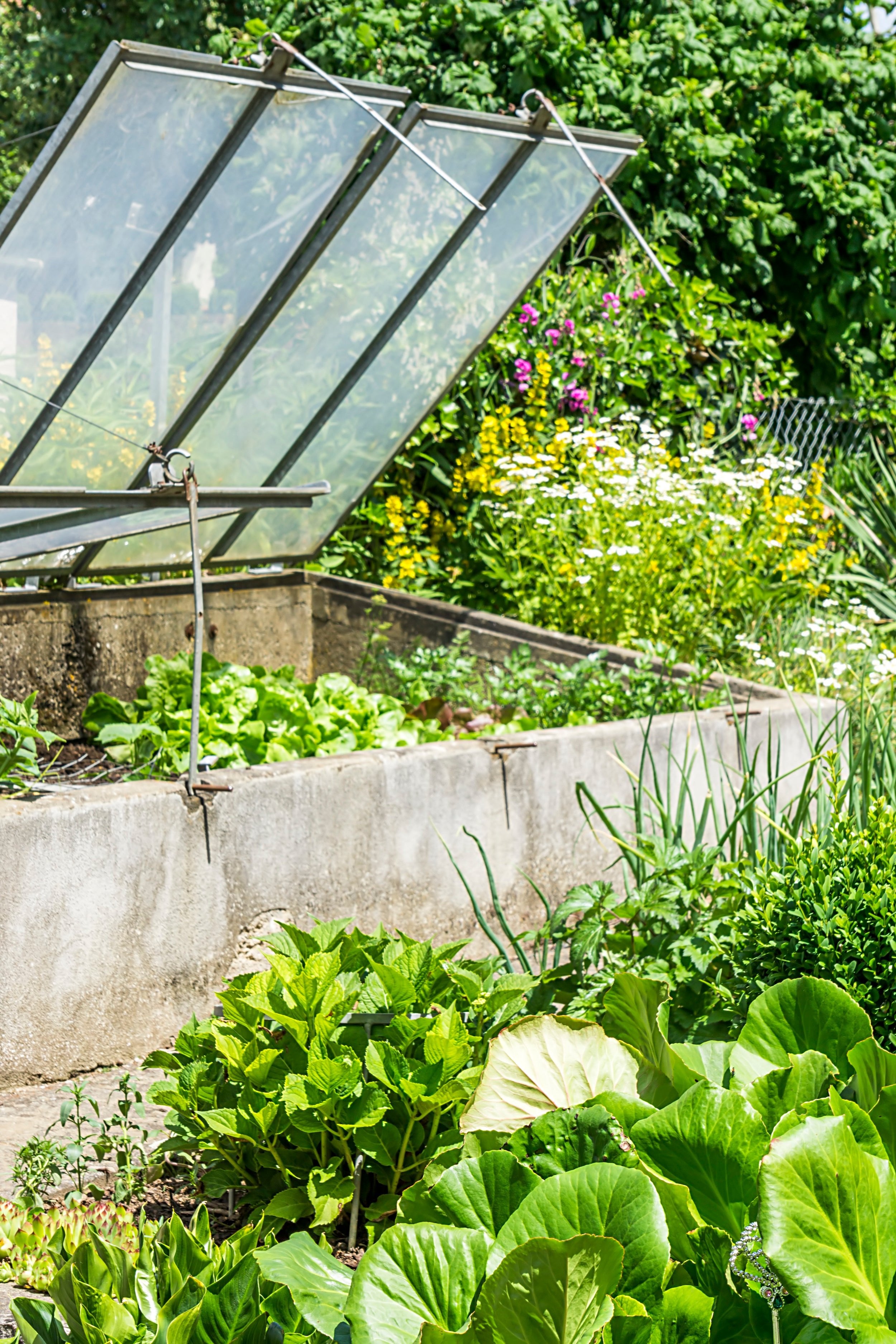 Gewächshäuser, kleinen Platz im Garten, Gemüse, Universaldünger, Düngen mit Leidenschaft, Naturdünger